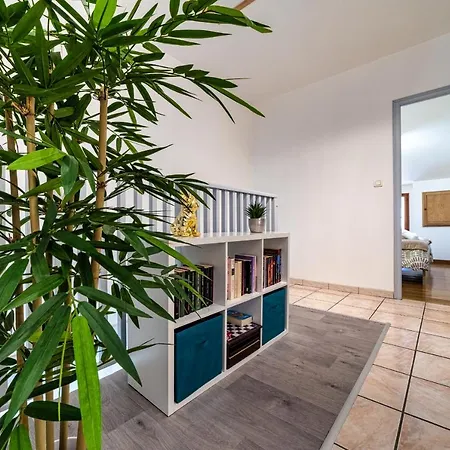 T3 St-jean-fibre-netflix-parking Gaillac
